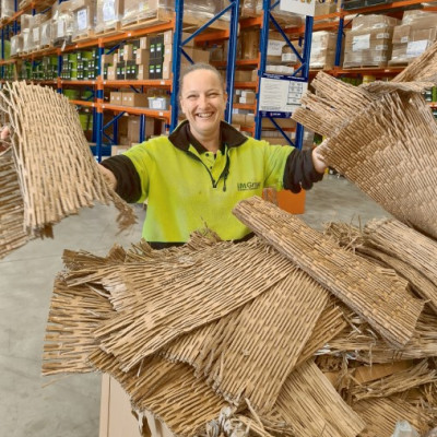 Sustainable packaging from waste cardboard – IMG
